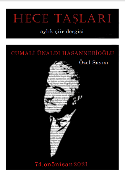 Hece Taşları Dergisinden HASANNEBİOĞLU Özel Sayısı